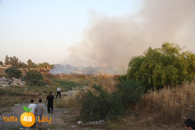 fireina7rashyaffa505 (8).JPG